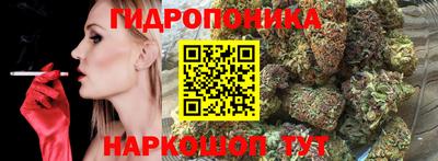 МДПВ Гусь-Хрустальный