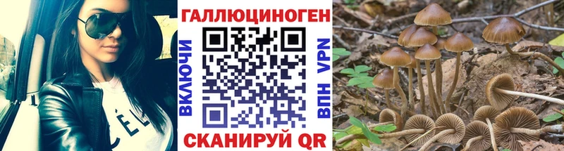 Псилоцибиновые грибы GOLDEN TEACHER  Тольятти 
