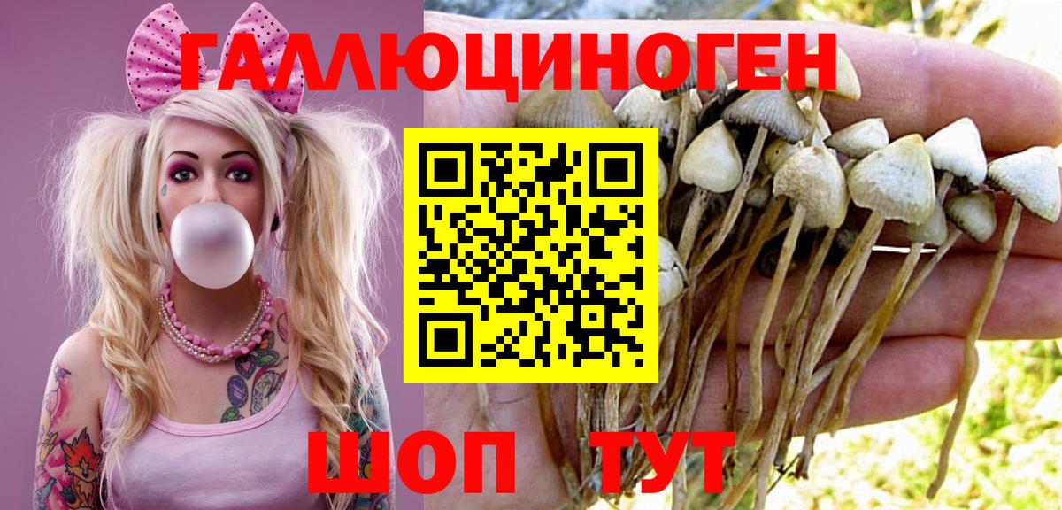 Псилоцибиновые грибы MAGIC MUSHROOMS Тольятти